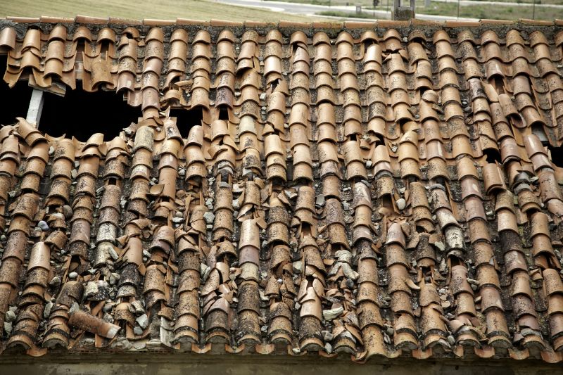 Chipped Tile Repair Service — Cost of Chipped Tile Repair Service