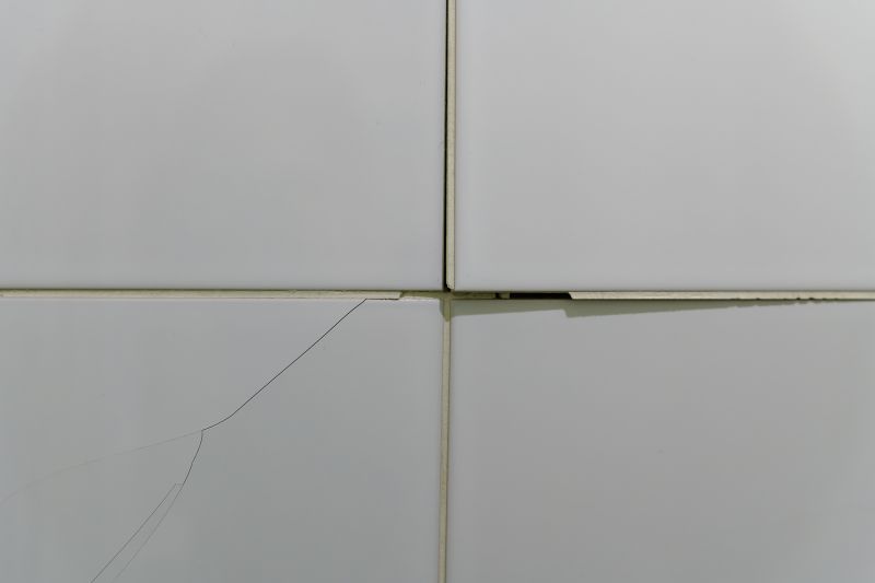 Chipped Tile Repair Service